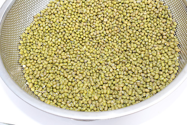 포토 JPG 해외이미지 식물 음식 콩 건조 건강 사람없음 초록색 쌓기 새싹 흰색 그룹 수집 먹기 흰배경 날것 성분 흙더미 고립 생식 많음 해외202004 해외포토 컬러 백그라운드 컨셉 모션 곡류 흙 파일형식 더미 이미지허브