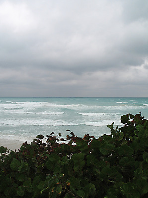 포토 JPG 해외이미지 주간 나무 식물 구름 선 모래 파도 바다 여행 잎 자연 조류 하늘 바람 휴가 휴식 사람없음 초록색 물 파란색 평화 침묵 소리 젖음 신선 유기농 폭풍 쿠바 남쪽 단절 이국적 터키석 파라다이스 수평선 해외202004 해외포토 자연요소 동물 웰빙 컬러 컨셉 날씨 중앙아메리카 보석 방향 생태계 파일형식 이미지허브