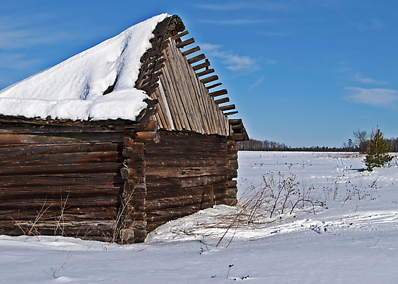 포토 JPG 해외이미지 전통 계절 겨울 밭 하늘 지붕 날씨 풍경 사람없음 야외 건물 목재 햇빛 농장 마을 침묵 추위 수확 흰색 시골 거친 복고 서리 러시아 통나무 헛간 외양간 깨짐 러시아인 눈내림 해외202004 해외포토 서양인 나무 건축물 유럽 컬러 컨셉 농업 재료 눈_날씨 태양 소리 저장고 파일형식 이미지허브
