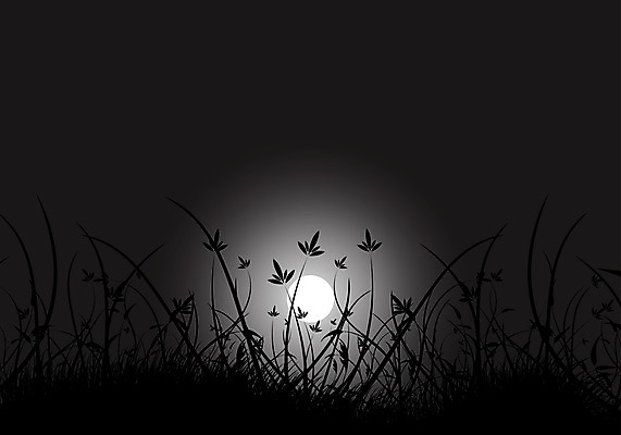 포토 JPG 해외이미지 식물 디자인 꽃 실루엣 백그라운드 꽃무늬 곡선 일러스트 자연 추상 미술 사람없음 장식 유행 수확 달 화려 야간 비네팅 해외202004 해외포토 자연요소 선 컨셉 무늬 농업 문화예술 촬영기법 생태계 파일형식 이미지허브