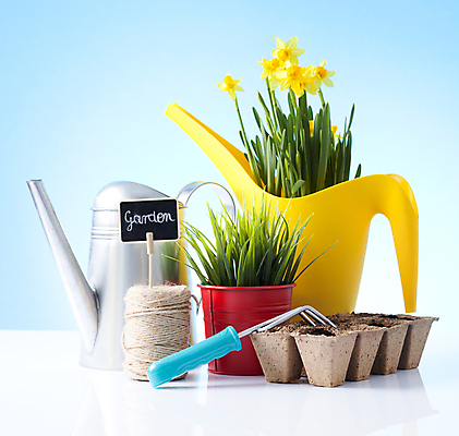 포토 JPG 해외이미지 식물 꽃 화분 장갑 잎 자연 사람없음 노란색 흙 봄 장비 공구 모종삽 삽 허브 물주기 원예 수선화 로즈메리 세이지 해외202004 해외포토 잡화 계절 컬러 모션 취미 도구 생태계 파일형식 이미지허브