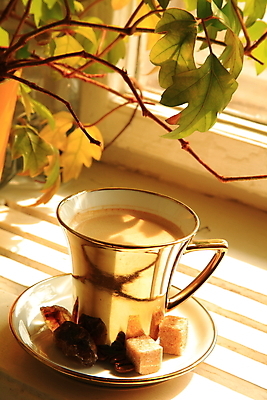 포토 JPG 해외이미지 커피 기념 따뜻함 사람없음 식당 카페 에너지 신선 커피잔 아로마 향 에스프레소 해외202004 해외포토 음료 잔 상점 파일형식 이미지허브