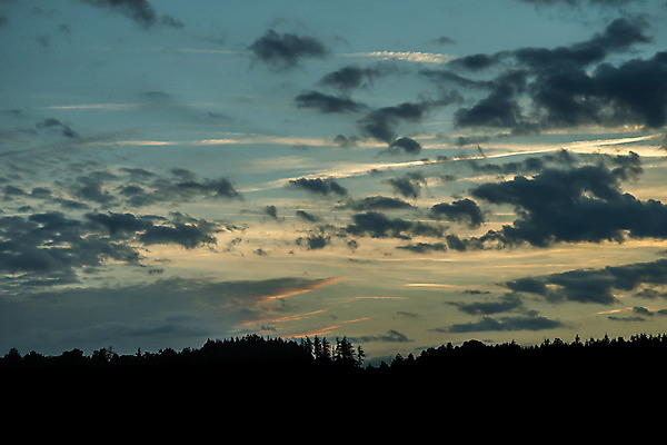포토 JPG 해외이미지 나무 구름 행복 실루엣 여행 백그라운드 자연 하늘 사랑 풍경 사람없음 야외 여름 빛 컬러풀 햇빛 태양 일출 검은색 어둠 일몰 나뭇가지 야간 저녁 장면 내추럴 수평선 해외202004 해외포토 자연요소 식물 계절 감정 컬러 촬영기법 노을 생태계 파일형식 이미지허브