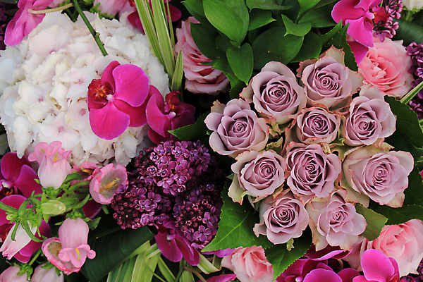 포토 JPG 해외이미지 식물 꽃잎 꽃 분홍색 꽃다발 결혼 백그라운드 자연 결혼식 사랑 사람없음 장식 장미 보라색 그룹 난초 배열 수국 해외202004 해외포토 감정 컬러 이벤트 생태계 파일형식 이미지허브