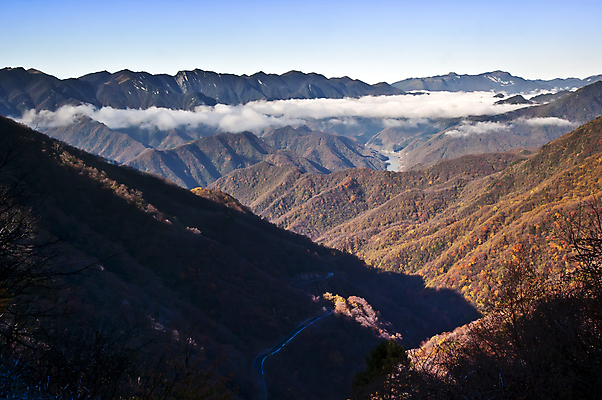 포토 JPG 해외이미지 나무 구름 자연 산 풍경 사람없음 중국 소나무 숲 해외202004 해외포토 자연요소 식물 아시아 생태계 파일형식 이미지허브
