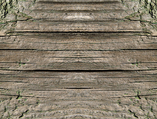 포토 JPG 해외이미지 벽 백그라운드 패턴 자연 표면 추상 광고판 사람없음 목재 초록색 페인트 거친 널 큼 질감 그런지 수목 옛날 해외202004 해외포토 나무 컬러 무늬 재료 알림판 크기 생태계 판 파일형식 이미지허브