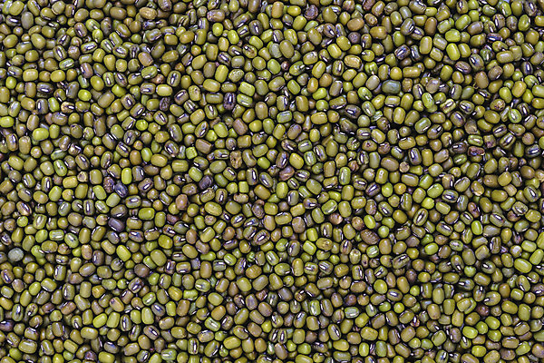 포토 JPG 해외이미지 식물 음식 백그라운드 농업 채소 건조 건강 사람없음 유기농 날것 식용 채식주의자 해외202004 해외포토 웰빙 산업 채식 파일형식 이미지허브