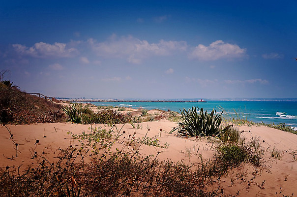 포토 JPG 해외이미지 유럽 모래 바다 여행 자연 휴가 휴식 풍경 사람없음 가로 여름 모래사장 햇빛 산타클로스 맑음 봄 스페인 지중해 모래언덕 휴양지 생태학 알리칸테 수평선 해외202004 해외포토 계절 교육 나라 컨셉 크리스마스 날씨 태양 장소 언덕 생태계 파일형식 이미지허브