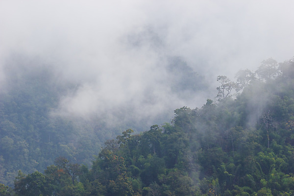 포토 JPG 해외이미지 나무 계절 여행 모션 태국 자연 아침 바람 산 그림자 풍경 사람없음 야외 초록색 파란색 빛 평화 일출 환경 계곡 보라색 새벽 안개 가을 정상 수증기 숲 큼 시원함 묘사 언덕 속도 치수 층 천국 멀리 절정 해외202004 해외포토 주간 자연요소 식물 아시아 컬러 컨셉 날씨 노을 크기 생태계 파일형식 이미지허브
