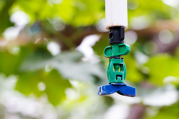 포토 JPG 해외이미지 식물 계절 산업 백그라운드 잎 밭 농업 채소 자연 사람없음 야외 초록색 물 농장 정원 장비 성장 신선 유기농 원예 분무기 내추럴 밭일 해외202004 해외포토 자연요소 웰빙 컬러 취미 생태계 파일형식 이미지허브