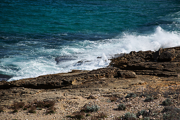 포토 JPG 해외이미지 유럽 야생동물 파도 바다 섬 여행 백그라운드 모션 자연 휴가 풍경 사람없음 야외 물 여름 파란색 젖음 스페인 떨어짐 역동적 내추럴 엘리먼트 해외202004 해외포토 자연요소 동물 계절 나라 컬러 컨셉 생태계 파일형식 이미지허브