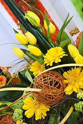 포토 JPG 해외이미지 식물 디자인 계절 꽃잎 꽃 꽃다발 백그라운드 잎 꽃무늬 자연 벽지 발렌타인데이 선물 사람없음 장식 초록색 여름 빛 컬러풀 노란색 정원 봄 벚꽃 축하 신선 신용카드 우아함 닫기 묘사 내추럴 해외202004 해외포토 컬러 컨셉 무늬 모션 데이이벤트 금융 생태계 파일형식 이미지허브