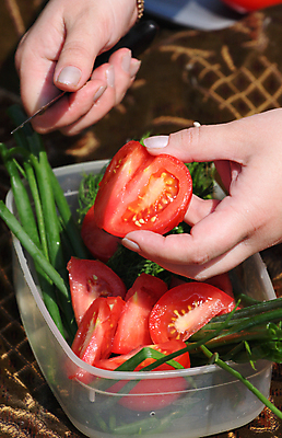포토 JPG 해외이미지 접시 손 음식 토마토 채소 양파 사람없음 소풍 식사 칼 회향 해외202004 해외포토 식물 식기 신체부위 야외활동 파일형식 이미지허브