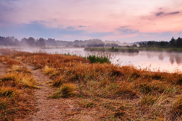 포토 JPG 해외이미지 나무 도로 호수 여행 백그라운드 밭 자연 벽지 하늘 아침 풍경 사람없음 야외 초록색 물 여름 강 컬러풀 햇빛 태양 일출 침묵 새벽 안개 가을 시골 신선 소나무 뜨거움 숲 질감 먼지 장면 8월 7월 벨로루시 뿌연 해외202004 해외포토 주간 자연요소 식물 계절 길 컬러 농업 교통시설 날씨 노을 소리 날짜 생태계 파일형식 이미지허브
