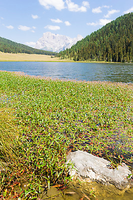포토 JPG 해외이미지 나무 호수 자연 하늘 산 파노라마 풍경 사람없음 야외 초록색 물 여름 파란색 태양 노란색 이탈리아 트래킹 하이킹 황무지 알프스 삼림지대 절정 해외202004 해외포토 자연요소 식물 계절 유럽 컬러 레저 촬영기법 숲 생태계 파일형식 이미지허브