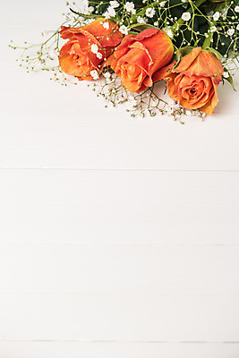 포토 JPG 해외이미지 기념일 꽃잎 꽃 꽃다발 결혼 백그라운드 오렌지 표면 발렌타인데이 사랑 사람없음 목재 장식 여름 컬러풀 장미 노란색 우주 정원 봄 공백 벚꽃 가을 신선 신용카드 생일 개화 그룹 정상 다발 원예 향기 엽서 강렬 해외202004 해외포토 나무 식물 계절 감정 컬러 과일 재료 데이이벤트 이벤트 취미 금융 편지 냄새 파일형식 이미지허브