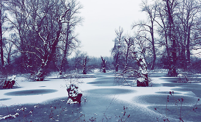 포토 JPG 해외이미지 주간 외관 유럽 겨울 자연 풍경 사람없음 야외 목재 물 강 햇빛 환경 얼음 추위 안개 물방울 시골 보호 습지 숲 시원함 홍수 서리 지역 변소 평야 해외202004 해외포토 자연요소 나무 계절 나라 컨셉 재료 날씨 태양 자연재해 생태계 파일형식 이미지허브