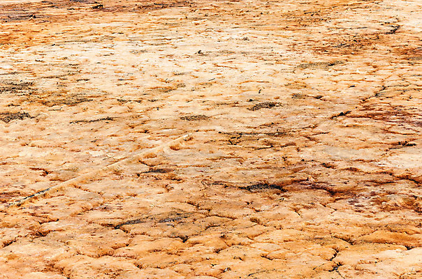 포토 JPG 해외이미지 지구 백그라운드 패턴 자연 표면 건조 사람없음 글로벌 갈색 환경 흙 사막 거친 균열 땅 질감 먼지 점토 진흙 내추럴 땅바닥 해외202004 해외포토 컬러 무늬 모션 바닥 생태계 파일형식 이미지허브