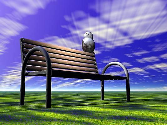 포토 JPG 해외이미지 나무 동물 계절 공원 남자 유럽 여행 잎 크리스마스 겨울 날개 벤치 오렌지 건축양식 자연 조류 하늘 날씨 사람 사람없음 야외 건물 빨간색 초록색 여름 파란색 컬러풀 얼음 힘 추위 골동품 바위 흰색 달콤 작음 질감 정사각형 그런지 옛날 폭설 해외202004 해외포토 자연요소 도형 식물 건축물 공공시설 기념일 건축 나라 컬러 의자 과일 눈_날씨 돌_바위 맛 크기 자연재해 생태계 파일형식 이미지허브