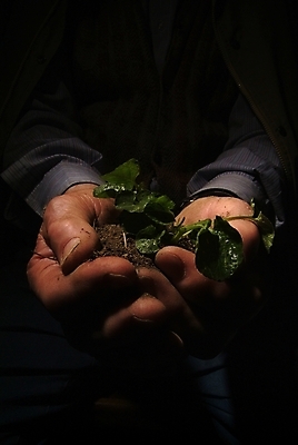 포토 JPG 해외이미지 1 라이프스타일 손 어린이 백그라운드 부분 손가락 아이디어 함께함 사람 손짓 사람없음 친구 빛 터치 흰색 가리킴 그룹 선택 정상 방향 심볼 사인 서식 쇼 언론 클릭 인덱스 팔 보여주기 고립 인터페이스 많음 해외202004 해외포토 컬러 컨셉 관계 모션 생활 신체부위 파일형식 이미지허브