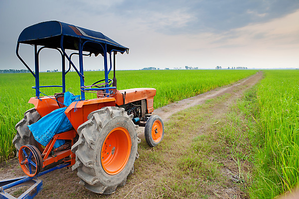 포토 JPG 해외이미지 식물 직업 산업 지구 밭 농업 비즈니스 자연 하늘 옥수수 씨앗 풍경 사람없음 야외 빨간색 초록색 여름 파란색 농장 농경지 환경 힘 기계 흙 장비 수확 시골 업무 바퀴 농부 땅 밀 장면 트랙터 밭일 심기 쟁기 해외202004 해외포토 계절 컬러 모션 곡류 작업 농기계 생태계 특수차량 파일형식 이미지허브