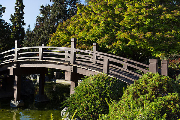 포토 JPG 해외이미지 나무 전통 계절 공원 아시아 문화 길 호수 선 백그라운드 잎 건축양식 자국 자연 동양인 풍경 사람없음 야외 목재 초록색 물 컬러풀 반사 평화 정원 일본 침묵 고요 봄 산책 바위 연못 사찰 숲 명상 아치 원예 조경 장면 동쪽 내추럴 해외202004 해외포토 자연요소 식물 공공시설 건축 나라 컬러 컨셉 재료 종교건축 휴식 인종 취미 소리 돌_바위 방향 생태계 파일형식 이미지허브