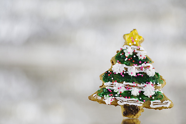 포토 JPG 해외이미지 나무 디자인 계절 백그라운드 크리스마스 휴가 디저트 전등 사람없음 장식 빛 컬러풀 쿠키 대접 식용 해외202004 해외포토 식물 기념일 음식 컬러 조명 파일형식 이미지허브