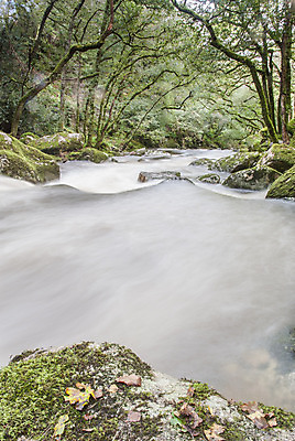 포토 JPG 해외이미지 나무 공원 잎 모션 자연 이끼 풍경 사람없음 야외 목재 초록색 물 강 평화 환경 침묵 폭포 젖음 흐름 시골 개울 황무지 급류 떨어짐 숲 속도 장면 암초 내추럴 해외202004 해외포토 자연요소 식물 공공시설 컬러 컨셉 재료 소리 생태계 파일형식 이미지허브
