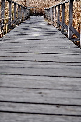 포토 JPG 해외이미지 식물 계절 공원 도로 길 여행 백그라운드 잎 자국 자연 지팡이 갈대 풍경 사람없음 야외 목재 초록색 걷기 정원 침묵 고요 봄 산책 산책로 하이킹 가을 숲 오솔길 방향 내추럴 방법 선로 해외202004 해외포토 나무 공공시설 컬러 재료 교통시설 모션 레저 휴식 소리 생태계 파일형식 이미지허브