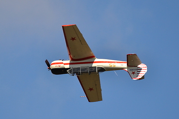 포토 JPG 해외이미지 날개 사람없음 해외202004 해외포토 파일형식 이미지허브