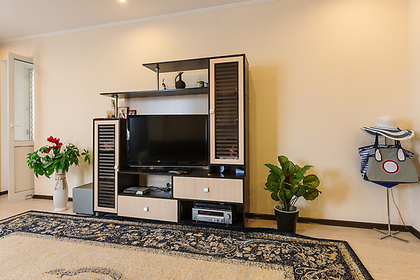 포토 JPG 해외이미지 식물 디자인 꽃 벽 가구 거실 부동산 아파트 주택 사람없음 내부 판매 텔레비전 카펫 침실 방 가전제품 그리기 복도 클래식 구매 미끄럼틀 큼 옷걸이 만족 렌탈 뮤지컬 인공 임대 스타일 개조 해외202004 해외포토 감정 생활용품 컨셉 모션 건물 경제 전자제품 쇼핑 재산 놀이기구 크기 파일형식 이미지허브