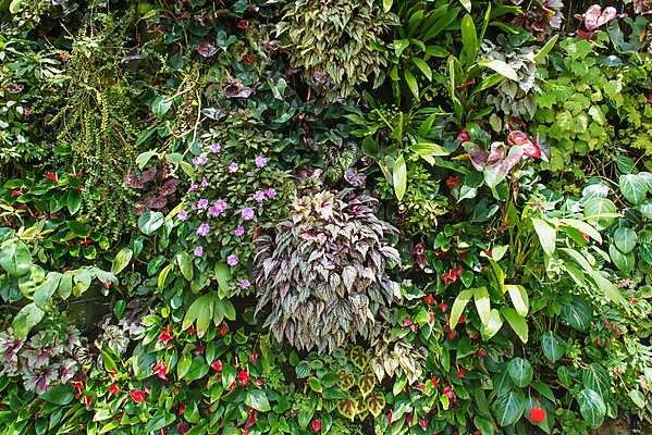 포토 JPG 해외이미지 나무 식물 공원 백그라운드 잎 꽃무늬 패턴 자연 사람없음 야외 초록색 환경 정원 봄 성장 나뭇가지 신선 군중 숲 유기농 질감 내추럴 생태학 인공 많음 해외202004 해외포토 웰빙 계절 공공시설 교육 꽃 컬러 컨셉 무늬 사람 생태계 파일형식 이미지허브