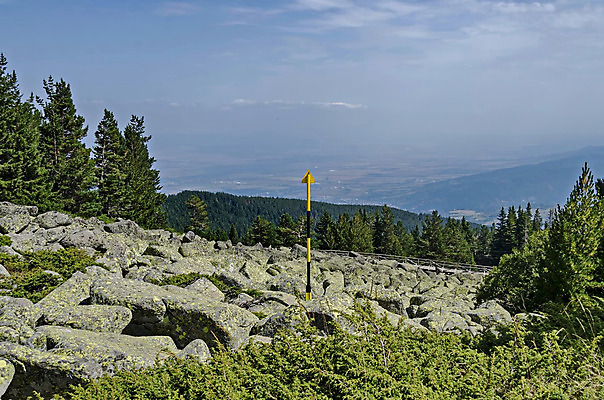 포토 JPG 해외이미지 나무 식물 구름 공원 백그라운드 자연 하늘 산 풍경 경사 사람없음 초록색 여름 강 갈색 노란색 바위 흰색 소나무 재산 숲 큼 연습 침엽수 불가리아 전국 절정 특별함 향나무 화강암 해외202004 해외포토 자연요소 계절 공공시설 컬러 컨셉 금융 암석 돌_바위 크기 생태계 파일형식 남유럽 이미지허브