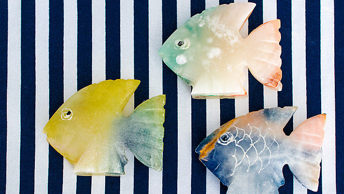 포토 JPG 해외이미지 동물 바다 자연 어류 사람없음 물 파란색 컬러풀 노란색 수중 수영 흰색 산호 금붕어 탱크 암초 수족관 고립 해외202004 해외포토 자연요소 컬러 수중동물 수상스포츠 자포동물 생태계 파일형식 이미지허브