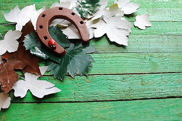 포토 JPG 해외이미지 행복 백그라운드 단풍 잎 성공 새로움 사람없음 목재 장식 초록색 컬러풀 희망 가을 시골 최고 판넬 행운 재산 9월 연도 심볼 부식 무당벌레 해피뉴이어 녹색배경 10월 편자 해외202004 해외포토 나무 식물 계절 감정 컬러 곤충 컨셉 재료 금융 새해인사 날짜 말발굽 파일형식 이미지허브