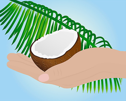 포토 JPG 해외이미지 식물 템플릿 라이프스타일 손 음식 섬 여행 백그라운드 농업 다이어트 채소 과일 일러스트 재료 부분 자연 휴가 열대 건강 손바닥 사람없음 여름 식사 견과류 시골 신선 원형 달콤 상품 먹기 그림 유기농 코코넛 밀짚 내추럴 배급 영양분 이국적 채식주의자 파라다이스 해외202004 해외포토 도형 웰빙 계절 산업 모션 생활 신체부위 맛 짚 생태계 채식 파일형식 이미지허브