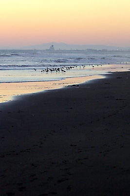 포토 JPG 해외이미지 실루엣 모래 파도 바다 여행 백그라운드 오렌지 자연 하늘 날씨 추상 휴가 풍경 사람없음 물 여름 파란색 빛 컬러풀 햇빛 태양 반사 노란색 평화 일출 맑음 침묵 황혼 일몰 서핑 황금 고독 저녁 광 수평선 해외202004 해외포토 자연요소 계절 감정 컬러 컨셉 무늬 과일 촬영기법 노을 소리 수상스포츠 야간 생태계 파일형식 이미지허브