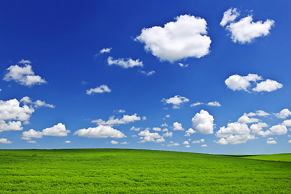 포토 JPG 해외이미지 구름 백그라운드 캐나다 밭 농업 자연 하늘 풍경 사람없음 야외 초록색 여름 파란색 농작물 농장 농경지 평화 활발 시골 밀 언덕 부드러움 내추럴 강렬 밭일 수평선 해외202004 해외포토 자연요소 계절 산업 컬러 컨셉 북아메리카 곡류 감각 생태계 파일형식 이미지허브