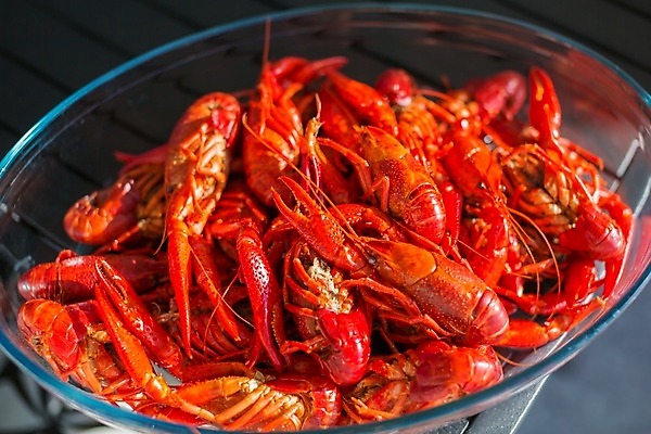 포토 JPG 해외이미지 동물 음식 바다 백그라운드 다이어트 조개 함께함 건강 갑각류 이야기 요리 사람없음 가로 빨간색 파티 쌓기 식사 저녁식사 껍질 뜨거움 그룹 가재 바닷가재 다발 먹기 가득함 해산물 준비 매움 점심식사 삶기 식품점 집게발 많음 해외202004 해외포토 컬러 컨셉 모션 어패류 이벤트 상점 맛 파일형식 이미지허브