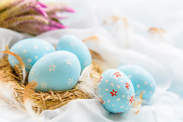 포토 JPG 해외이미지 전통 디자인 계절 꽃 행복 음식 분홍색 백그라운드 컨셉 패턴 자연 탁자 휴가 부활절 사람없음 목재 장식 초록색 파란색 컬러풀 노란색 바구니 우주 계란 페인트 봄 수확 흰색 시골 축하 신용카드 그리기 그룹 둥지 정상 4월 심볼 질감 내추럴 해외202004 해외포토 나무 식물 기념일 감정 컬러 가구 무늬 농업 재료 모션 금융 알 날짜 생태계 파일형식 이미지허브