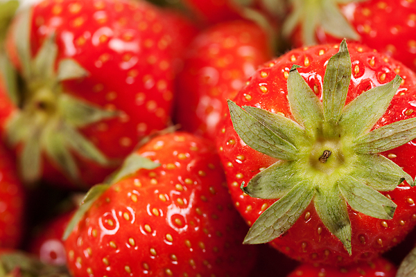 포토 JPG 해외이미지 열매 음식 잎 다이어트 과일 자연 딸기 디저트 건강 씨앗 사람없음 빨간색 초록색 빛 신선 달콤 먹기 오브젝트 유기농 숙성 해외202004 해외포토 식물 웰빙 컬러 모션 맛 생태계 파일형식 이미지허브