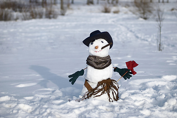 포토 JPG 해외이미지 전통 계절 행복 크리스마스 겨울 장난 자연 눈사람 하늘 휴가 미소 풍경 사람없음 야외 장식 세로 파란색 우주 냉동 얼음 검은색 목도리 봄 당근 추위 흰색 축하 인사 신용카드 눈송이 기다림 12월 심볼 서리 장면 눈덩이 캡모자 해외202004 해외포토 자연요소 모자_잡화 잡화 기념일 감정 컬러 컨셉 모션 뿌리채소 눈_날씨 표정 금융 예절 날짜 생태계 파일형식 이미지허브