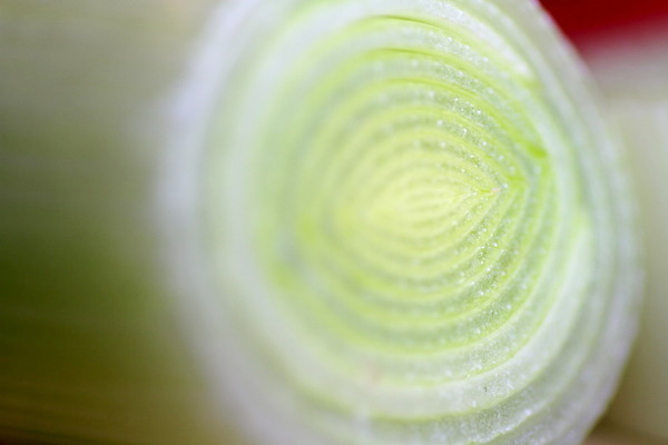 포토 JPG 해외이미지 식물 접시 잡화 계절 음식 다이어트 채소 재료 자연 양파 주택 건강 요리 사람없음 초록색 쇼핑 노란색 주방 정원 저녁식사 샐러드 신선 맛 상품 자르기 먹기 묘사 날것 레시피 부추 섬유 내추럴 영양소 채식주의자 해외202004 해외포토 식기 컬러 컨셉 모션 건물 식사 직물 생태계 채식 파일형식 이미지허브