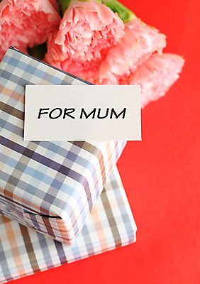 포토 JPG 해외이미지 종이 백그라운드 프레임 선물 사랑 사람없음 상자 사각형 카네이션 감사 레터링 어머니의날 해외202004 해외포토 도형 기념일 꽃 감정 미국문화 파일형식 이미지허브