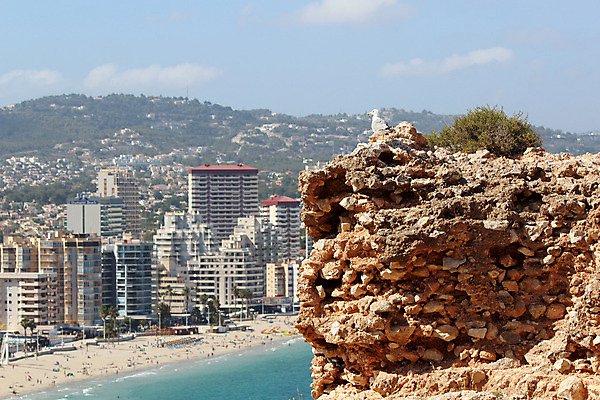 포토 JPG 해외이미지 식물 동물 공원 야생동물 파도 바다 백그라운드 날개 자연 벽지 갈매기 조류 바람 풍경 사람없음 노란색 바위 흰색 스페인 보호 지중해 부리 장면 내추럴 해외202004 해외포토 자연요소 공공시설 유럽 컬러 컨셉 날씨 돌_바위 생태계 파일형식 이미지허브