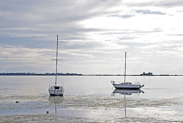 포토 JPG 해외이미지 구름 모래 북아메리카 요트 하늘 항해 풍경 사람없음 야외 물 여름 미국 보트 해조류 썰물 버리기 함선 흐림 대각선 돛대 수평선 플로리다 해외202004 해외포토 자연요소 계절 선 바다 배_교통 모션 날씨 아메리카 해양식물 파일형식 이미지허브