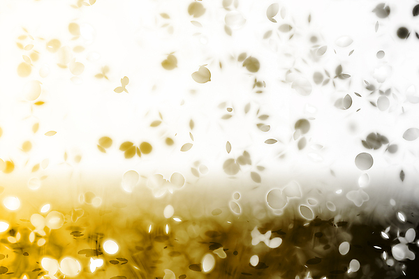 JPG 해외이미지 꽃잎 꽃 백그라운드 일러스트 사람없음 노란색 검은색 그라데이션 카피스페이스 해외202004 해외일러스트 식물 컬러 공백 파일형식 이미지허브