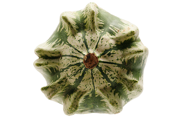 포토 JPG 해외이미지 식물 계절 음식 백그라운드 채소 과일 호박 건강 사람없음 장식 가로 초록색 컬러풀 손상 할로윈 껍질 가을 흰색 화려 9월 오브젝트 싱글 생태계 날것 박 10월 내추럴 고립 숙성 해외202004 해외포토 컬러 컨셉 날짜 파일형식 이미지허브