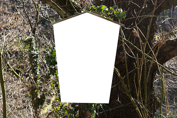 포토 JPG 해외이미지 나무 배너 공원 포스터 백그라운드 자연 날씨 새로움 광고판 서기 잔디 사람없음 야외 목재 초록색 우주 정원 텔레비전 칠판 수확 시골 표지판 메시지 널 숲 오브젝트 사인 도로표지판 봉 직사각형 계산서 경고문 옛날 카피스페이스 부족함 해외202004 해외포토 도형 식물 공공시설 도로 컬러 컨셉 농업 재료 모션 알림판 경고 전자제품 공백 생태계 판 파일형식 이미지허브