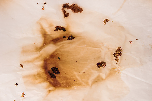 포토 JPG 해외이미지 디자인 포스터 종이 벽 백그라운드 텍스트 벽지 날씨 추상 프레임 미술 사람없음 책 쪽지 공백 수확 골동품 점 얼룩 역사 가장자리 질감 문서 복고 캔버스 먼지 페이지 찢어짐 시트 연소 고립 그런지 무료 양피지 옛날 원고 화상 노화 해외202004 해외포토 컨셉 무늬 농업 모션 문화예술 둘레 상처 파일형식 이미지허브